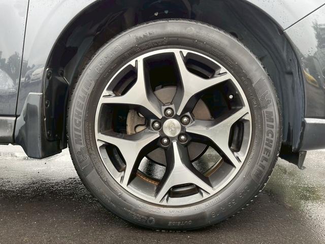 フォレスター 2.0i-S アイサイト ダイアトーンナビ フルセグ バックモニター プリクラッシュ 全車速追従クルーズコントロール 誤発進抑制 パワーバックドア パワーシート シートヒーター スマートキー(35枚目)