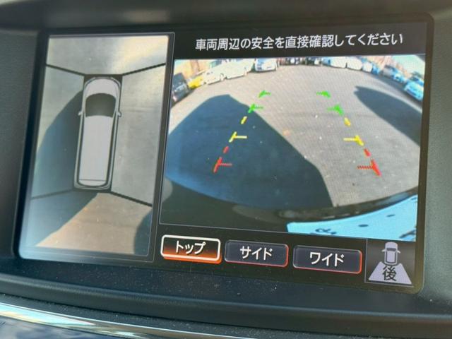 エルグランド ＶＩＰ　メーカーナビ　フルセグ　全周囲モニター　両側パワスラ　後席モニター　サンルーフ　黒革シート　パワーシート　シートヒーター　オートサイドステップ　パワーバックドア　インテリキー　プッシュスタート（21枚目）