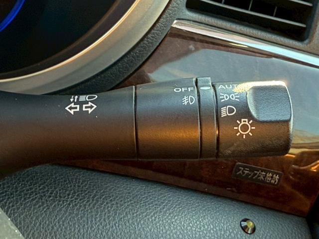 エルグランド ＶＩＰ　メーカーナビ　フルセグ　全周囲モニター　両側パワスラ　後席モニター　サンルーフ　黒革シート　パワーシート　シートヒーター　オートサイドステップ　パワーバックドア　インテリキー　プッシュスタート（30枚目）