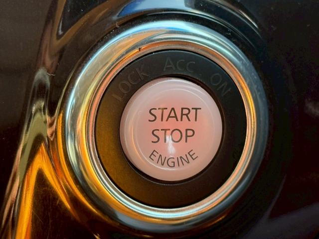 エルグランド ＶＩＰ　メーカーナビ　フルセグ　全周囲モニター　両側パワスラ　後席モニター　サンルーフ　黒革シート　パワーシート　シートヒーター　オートサイドステップ　パワーバックドア　インテリキー　プッシュスタート（35枚目）