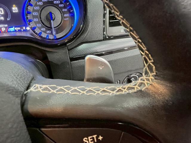 クライスラー・３００ ３００Ｓ　純正ナビ　フルセグＴＶ　Ｂｌｕｅｔｏｏｔｈ　バックカメラ　　フォグ　純正２０インチＡＷ　黒レザーシート　電動シート　シートヒーター　レーダークルーズ　クリアランスソナー　ドラレコ　スマートキー　ＥＴＣ（30枚目）