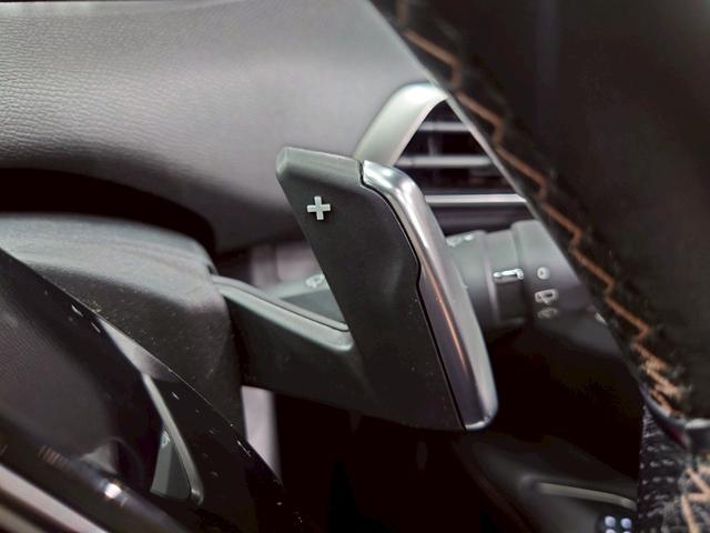 ３００８ ＧＴ　ブルーＨＤｉ　パノラミックスライディングルーフ　純正Ｄオーディオ　ＢＴ接続　全方位カメラ　レザーシート　パワーシート　シートヒーター　パワーテールゲート　ＬＥＤヘッドライト　純正１８ＡＷ　クルコン　ドラレコ　ＥＴＣ（29枚目）