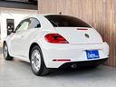 VOLKSWAGEN THE BEETLE