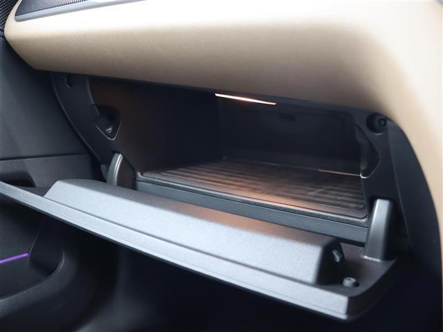 MINI ジョンクーパーワークス クロスオーバー 純正ナビ【BT/USB】インテリジェントセーフティ ヘッドアップディスプレイ アダプティブクルーズコントロール パドルシフト バックカメラ パーキングアシスト レザーシート ドライブレコーダー 禁煙車(34枚目)