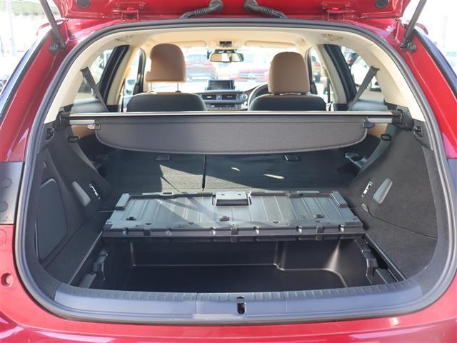 CT CT200h バージョンL 純正ディーラーナビバックカメラワンセグTVパドルシフトレザーシート前席パワーシート前席シートヒーターステアリングヒーター純正アルミ夏タイヤ17インチ(31枚目)