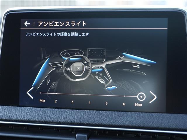 ＧＴ　ブルーＨＤｉ　ワンオーナー　後期モデル　パノラマサンルーフ　黒革　運転席パワーシート＆マサージ機能付　フットオープナー付きパワーリアゲート　ＡＣＣ　ドライビングセレクト　ＬＫＡ　ＢＳＭ　ＬＥＤオートハイビーム(28枚目)