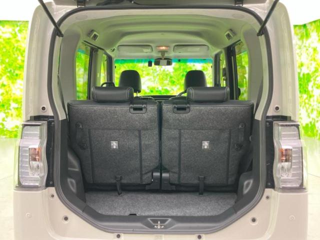 ハッチ後ろから