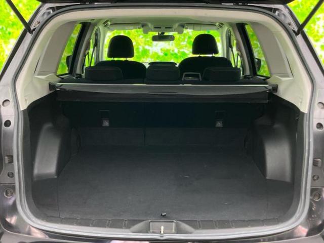 ハッチ後ろから