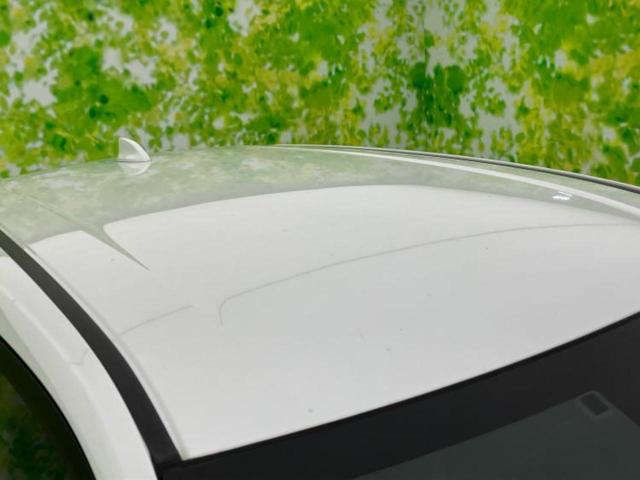 �w�b�h���C�g���e�[�������v�w�b�h���C�g���e�[�������v