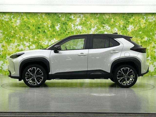 �y�v�d�b�`�q�r�z�L�x�ȍ݌ɂ���ʃ��j�^�[�Ō����\�I�I�v�V��������������A�^�C���̏�ԂȂǍו��܂Ō䗗�����܂���ڍׂ͂��C�y�ɃX�^�b�t�܂ł��⍇���������B