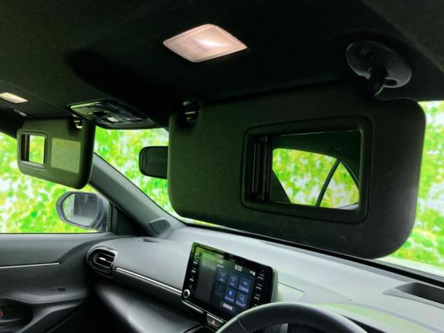 �T���o�C�U�[