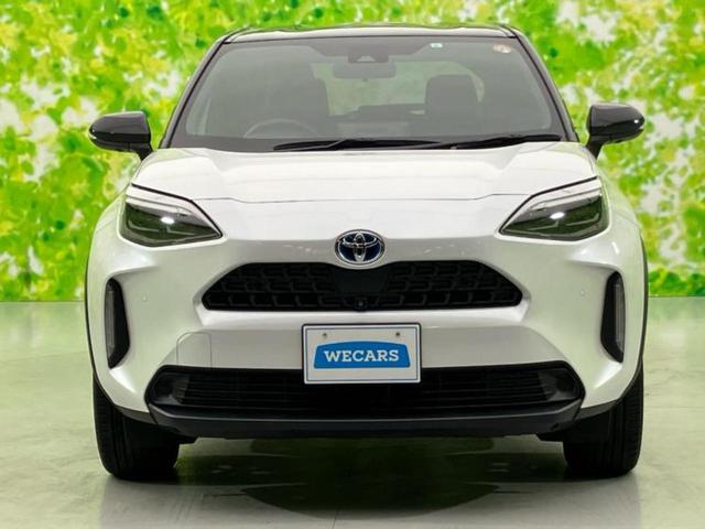 �t�����g