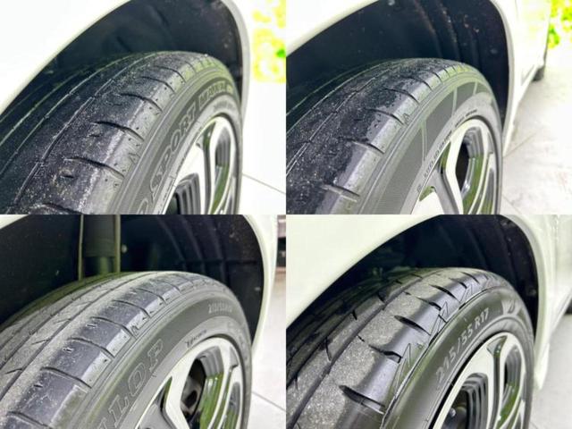 �u���̎Ԃ̎ʐ^�������ƌ������v�u��Ԃ��C�ɂȂ�v�u���̑����͂��Ă���H�v�ǂ�ȏ����ȋ^��ł����C�y�ɂ��₢���킹���������I