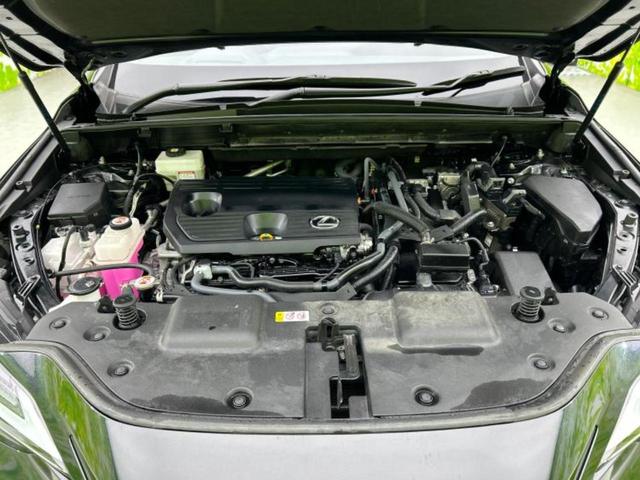 �S���ɓX�܂�W�J���Ă���̂łǂ��ł������񂹂��\�ł��I���̎Ԃ��C�ɂȂ邯�ǉ���������E�E�E�ƒ��߂�K�v�͂���܂���I���ʓr������K�v�ł��B