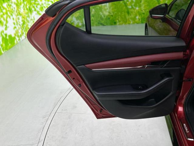 �u���̎Ԃ̎ʐ^�������ƌ������v�u��Ԃ��C�ɂȂ�v�u���̑����͂��Ă���H�v�ǂ�ȏ����ȋ^��ł����C�y�ɂ��₢���킹���������I