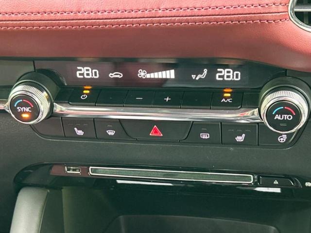 �u���̎Ԃ̎ʐ^�������ƌ������v�u��Ԃ��C�ɂȂ�v�u���̑����͂��Ă���H�v�ǂ�ȏ����ȋ^��ł����C�y�ɂ��₢���킹���������I