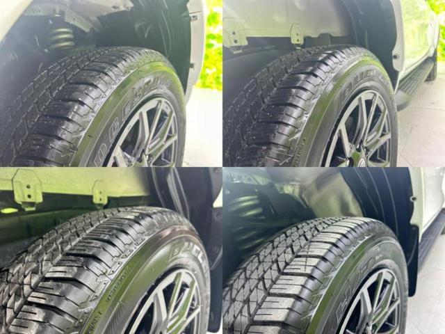 �u���̎Ԃ̎ʐ^�������ƌ������v�u��Ԃ��C�ɂȂ�v�u���̑����͂��Ă���H�v�ǂ�ȏ����ȋ^��ł����C�y�ɂ��₢���킹���������I