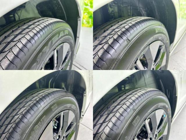 �u���̎Ԃ̎ʐ^�������ƌ������v�u��Ԃ��C�ɂȂ�v�u���̑����͂��Ă���H�v�ǂ�ȏ����ȋ^��ł����C�y�ɂ��₢���킹���������I