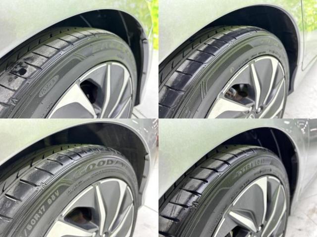 �u���̎Ԃ̎ʐ^�������ƌ������v�u��Ԃ��C�ɂȂ�v�u���̑����͂��Ă���H�v�ǂ�ȏ����ȋ^��ł����C�y�ɂ��₢���킹���������I