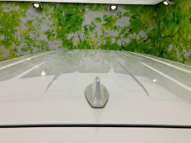 アルファード Ｓタイプゴールド２　新品タイヤ／ディスプレイオーディオ＋ナビ９インチ／フリップダウンモニター　純正　１２．１インチ／トヨタセーフティセンス／両側電動スライドドア／車線逸脱防止支援システム／電動バックドア　バックカメラ（54枚目）