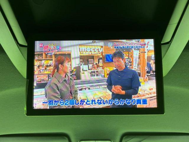 タント カスタムＲＳ　保証書／純正　１０インチ　ＳＤナビ／フリップダウンモニター　純正　１０．１インチ／スマートアシスト（トヨタ・ダイハツ）／両側電動スライドドア／シートヒーター　前席／車線逸脱防止支援システム　禁煙車（33枚目）