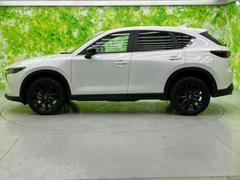 �ףţã��ңӤκ߸˥ڡ������������������ˤ��꤬�Ȥ��������ޤ����ףţã��ңӤϡ֤��������פ��åȡ��ˤ����ͤΥ����饤�դ����Ϥǥ��ݡ��Ȥ������ޤ��� 2