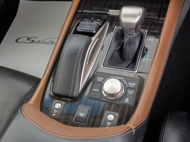 ＬＳ ＬＳ４６０　バージョンＣ　（禁煙車）（全画面ＳＤナビ）（サンルーフ）（ロクサーニ製マルチフォルケッタ２０インチＡＷ）（レーダークルーズ）（プリクラッシュ）（ＢＳＭ）（クリアランスソナー）（シートヒーター）（エアシート）（40枚目）