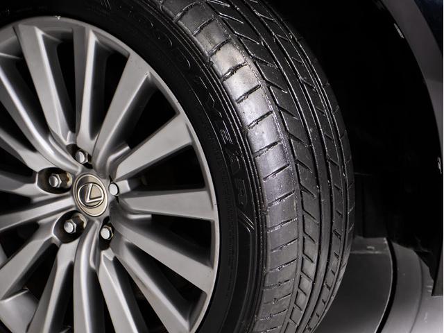 �������ȃL�����y�[�����u�b�r�I�[�g�f�B�[���[�Ō����I�v�������C�����������܂��I�h�c�����y�����������P�z