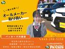 ＲＳ　メンテナンスノート　電動格納式ミラー　禁煙　スマートキー　衝突安全ボディ　キーフリー　オートエアコン　パワーウインドウ　パワーステアリング（47枚目）