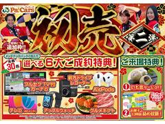 ��������ǯ�ѥå��������䡪������¿�����ʥӤʤ����٤�����ŵ���ͤ����ꥤ�٥�����ܡ� 2