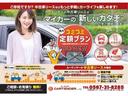 ストライプスＸ　１２ヶ月走行無制限保証　両側電動パワースライドドア　バックソナー　プッシュスタート　オートエアコン　４ＷＤ　オートヘッドライト（53枚目）