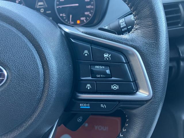 クロストレック リミテッド　純正ナビ　フルセグＴＶ　バックモニター　全周囲カメラ　ＳＴＩマフラー　アイサイト　ｅ－ＢＯＸＥＲ　パワーシート　シートヒーター　Ｂｌｕｅｔｏｏｔｈ　ＵＳＢ　ウィンカーミラー　フォグ　スマートキー（23枚目）