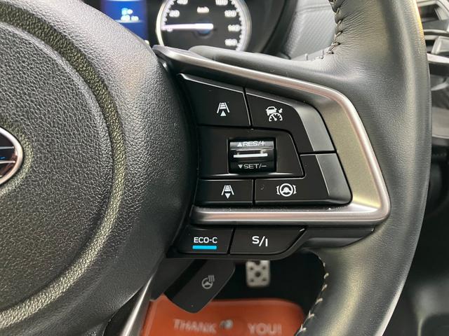 フォレスター アドバンス　パナソニックナビ　フルセグＴＶ　バックモニター　Ｆ・Ｓモニター　アルパイン後席フリップダウンモニター　デジタルインナーミラー　リアパワーハッチ　アイサイト　パワーシート　シートヒーター　ルーフレール（26枚目）