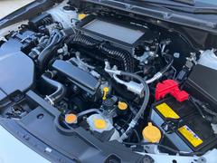 ��������� �ǣԡݣȡ��ţء������ʥӡ��ե륻���ԣ֡��Хå���˥��� 0541598A30251208W003 3