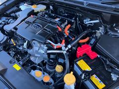 �������ȥ�å� �ץ�ߥ���ӡ��ȣţ֡���������������ǥ����ץ쥤���ե륻���ԣ֡��Хå���˥����������ϥ���� 0541598A30251215W002 4