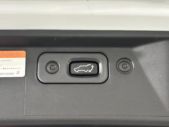 デリカＤ：５ Ｐ　サードスペースカスタム　ルーフラック　フロントバンパーガード　リアラダー　ショートマッドフラップ　ＪＡＯＳ　フロントグリル　フェンダーガーニッシュ　Ｔｙｐｅ－Ｘ　Ｗｅｄｓ　ＭＵＤＶＡＮＣＥ　１６インチ（47枚目）