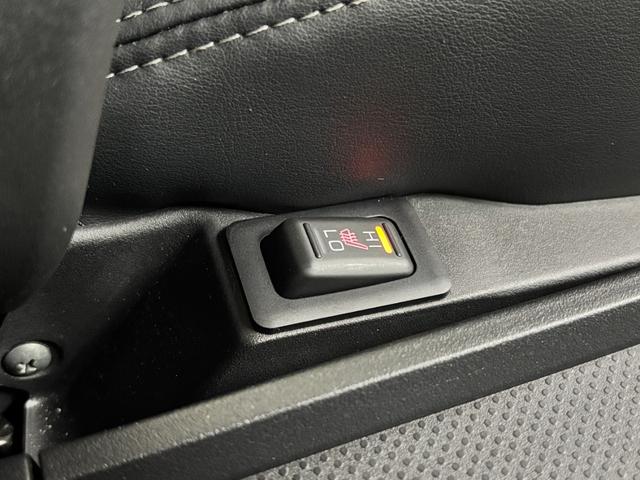 デリカＤ：５ シャモニー　シャモニーカスタム　ＡＬＰＩＮＥ　ＢＩＧ－Ｘ　１１インチ　ＩＰＦ　フロントグリルマーカーホワイト　４×４エンジニアリング　１７インチ　ＯＰＥＮ　ＣＯＵＮＴＲＹ　Ａ／ＴＩＩＩ　ＪＡＯＳ　マッドガード（11枚目）