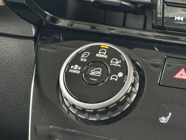 デリカミニ Ｔ　プレミアム　デリマルパッケージ　登録済み未使用車早速カスタム！　オートフラッグス　ルーフラック　ＢＵＳＴＥＲＳｍｉｎｉ装着　Ｗｅｄｓ　マッドヴァンスアドベンチャー　１５インチアルミホイール　ＯＰＥＮ　ＣＯＵＮＴＲＹ　Ｒ／Ｔ（35枚目）