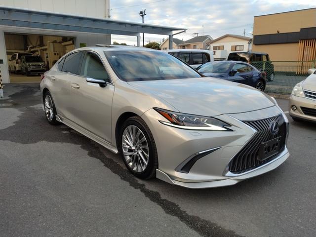 ES ES300h バージョンL 12ヶ月距離無制限保証 デジタルミラー TOM’Sエアロ マクレビ サンルーフ オートクルーズコントロール 衝突被害軽減システム 全周囲カメラ ナビ TV アルミホイール オートライト(16枚目)