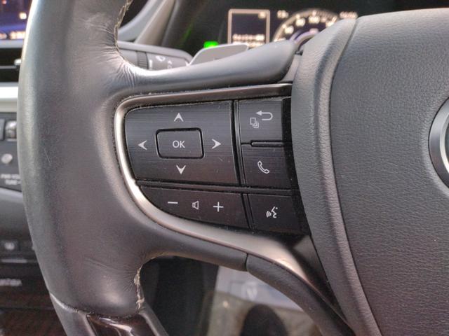 ES ES300h バージョンL 12ヶ月距離無制限保証 デジタルミラー TOM’Sエアロ マクレビ サンルーフ オートクルーズコントロール 衝突被害軽減システム 全周囲カメラ ナビ TV アルミホイール オートライト(21枚目)