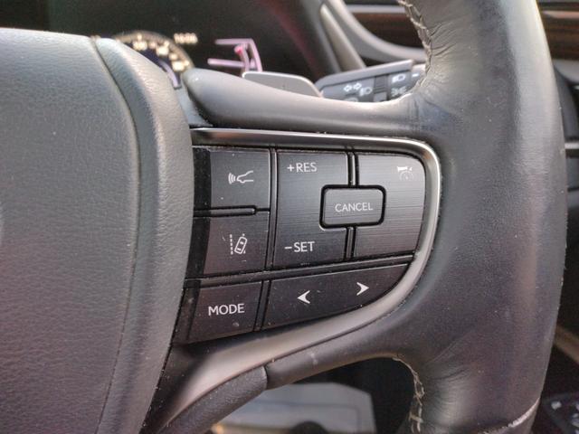 ES ES300h バージョンL 12ヶ月距離無制限保証 デジタルミラー TOM’Sエアロ マクレビ サンルーフ オートクルーズコントロール 衝突被害軽減システム 全周囲カメラ ナビ TV アルミホイール オートライト(22枚目)