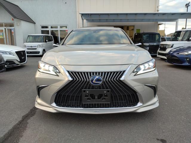 ES ES300h バージョンL 12ヶ月距離無制限保証 デジタルミラー TOM’Sエアロ マクレビ サンルーフ オートクルーズコントロール 衝突被害軽減システム 全周囲カメラ ナビ TV アルミホイール オートライト(66枚目)