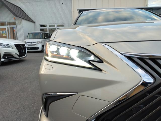 ES ES300h バージョンL 12ヶ月距離無制限保証 デジタルミラー TOM’Sエアロ マクレビ サンルーフ オートクルーズコントロール 衝突被害軽減システム 全周囲カメラ ナビ TV アルミホイール オートライト(67枚目)