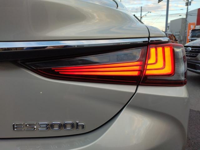 ES ES300h バージョンL 12ヶ月距離無制限保証 デジタルミラー TOM’Sエアロ マクレビ サンルーフ オートクルーズコントロール 衝突被害軽減システム 全周囲カメラ ナビ TV アルミホイール オートライト(68枚目)
