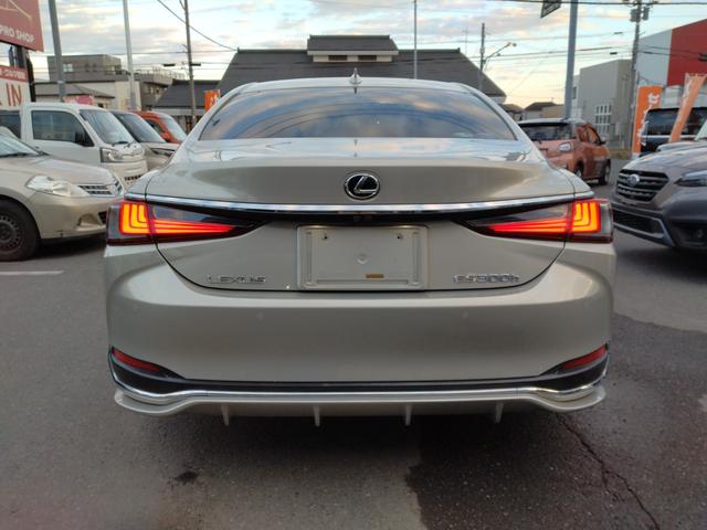 ES ES300h バージョンL 12ヶ月距離無制限保証 デジタルミラー TOM’Sエアロ マクレビ サンルーフ オートクルーズコントロール 衝突被害軽減システム 全周囲カメラ ナビ TV アルミホイール オートライト(69枚目)