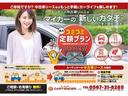 セオリーＧ　１２ヶ月距離無制限保証　ＤＶＤ再生　Ｂｌｕｅｔｏｏｔｈオーディオ　フルセグＴＶ　両側電動スライドドア　左右シートヒーター　オートライト　アイドリングストップ（59枚目）