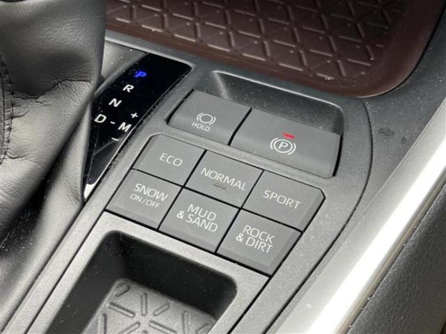 ＲＡＶ４ ４ＷＤ　Ｇ　保証書／純正　９インチ　ＳＤナビ／衝突安全装置／シートヒーター　前席／車線逸脱防止支援システム／シート　合皮／電動バックドア／ヘッドランプ　ＬＥＤ／Ｂｌｕｅｔｏｏｔｈ接続／ＥＴＣ／ＥＢＤ付ＡＢＳ（16枚目）