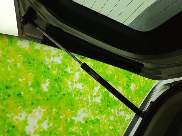 フォレスター ４ＷＤ　Ｓリミテッド　保証書／純正　ＳＤナビ／衝突安全装置／シートヒーター／車線逸脱防止支援システム／シート　ハーフレザー／ヘッドランプ　ＨＩＤ／ＥＴＣ／ＥＢＤ付ＡＢＳ／横滑り防止装置／アイドリングストップ　電動シート（36枚目）