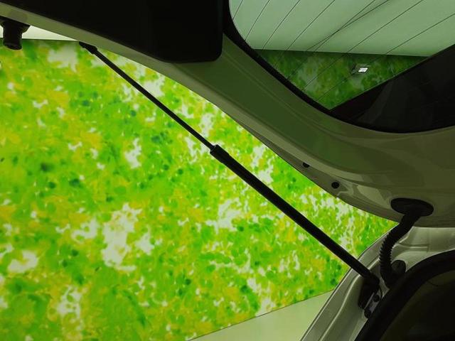 オーラ Ｇ　保証書／インテリジェントルームミラー／衝突安全装置／全方位モニター／車線逸脱防止支援システム／ヘッドランプ　ＬＥＤ／ＥＢＤ付ＡＢＳ／横滑り防止装置／アイドリングストップ／フロントモニター　全周囲カメラ（29枚目）