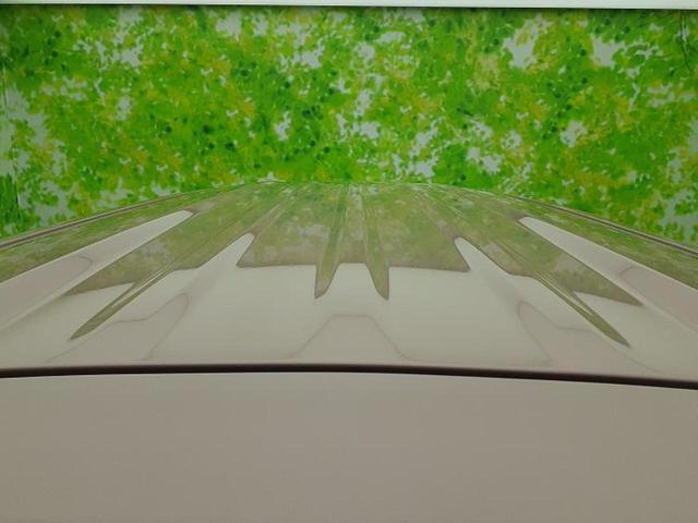 Ｎ－ＢＯＸ Ｇ・Ｌターボホンダセンシング　新品タイヤ／保証書／社外　ＳＤナビ／衝突安全装置／両側電動スライドドア／車線逸脱防止支援システム／ドライブレコーダー　社外／ヘッドランプ　ＬＥＤ／Ｂｌｕｅｔｏｏｔｈ接続／ＥＴＣ／横滑り防止装置（55枚目）